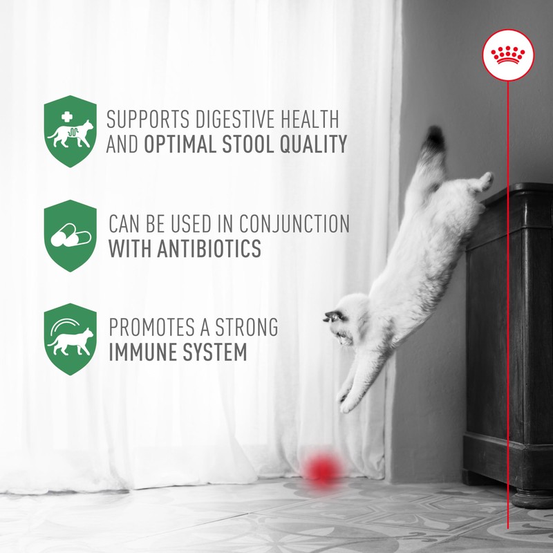 Royal Canin Probiotics for Cats Digestive and Immune Health Powder