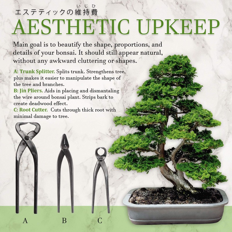 BambooMN Bonsai 3 Piece Set, Trunk Splitter, Jin Pliers, and