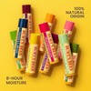 Burt's Bees Pomegranate Moisturizing Lip Balm, 0.15 oz