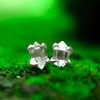 Starborn Herkimer Diamond 925 Sterling Silver Post Earrings