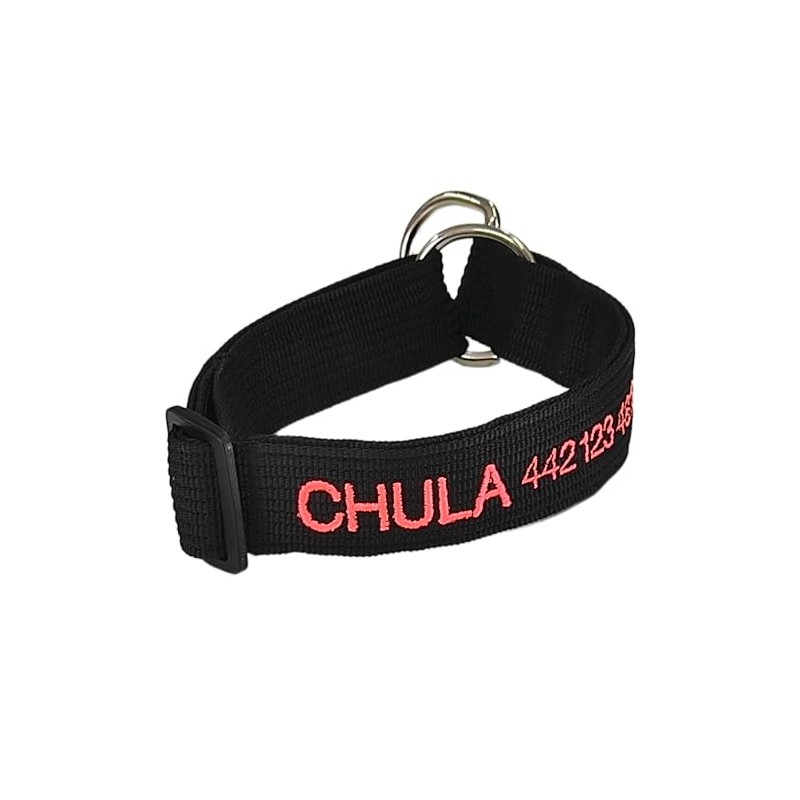 INVENTOINVENTOS.COM Collar Personalizado Resistentes Mega Forzza. Ideal para pasear Perros