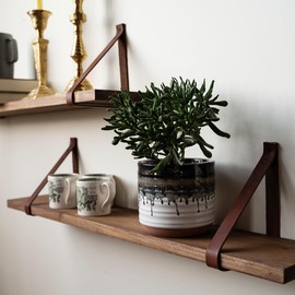 Hardwood Customizable Shelves ~ With Full Grain Leather Straps - Choose Your Stain (12x24 inches, Walnut)