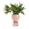 Face Head Planter Succulent Plant Flower Pot Resin Container Face