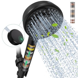 Filtered Shower Head with Handheld,Black