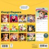 Carousel Calendars, Corgi Capers 2026 Wall Calendar, 12'' X 12'',