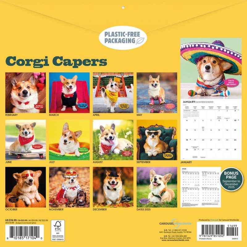 Carousel Calendars, Corgi Capers 2026 Wall Calendar, 12'' X 12'',