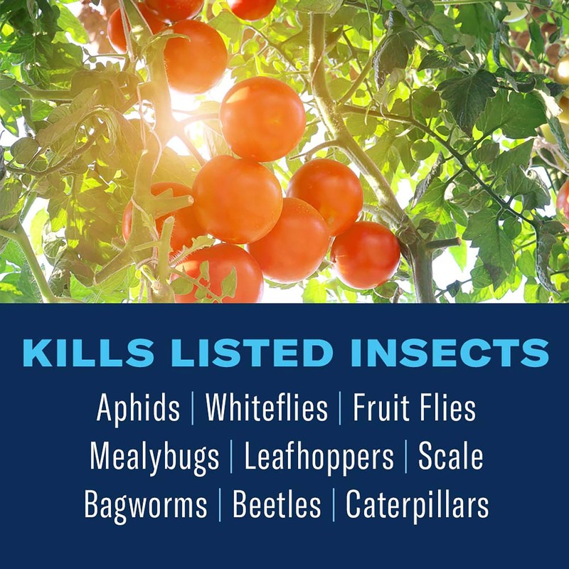 BioAdvanced Organics Brand Neem Oil, Ready-to-Use, 1 Gal