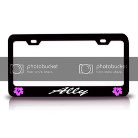 Custom Brother - Ally Female Name Hibiscus Metal Car SUV Truck License Plate Frame Bl o53