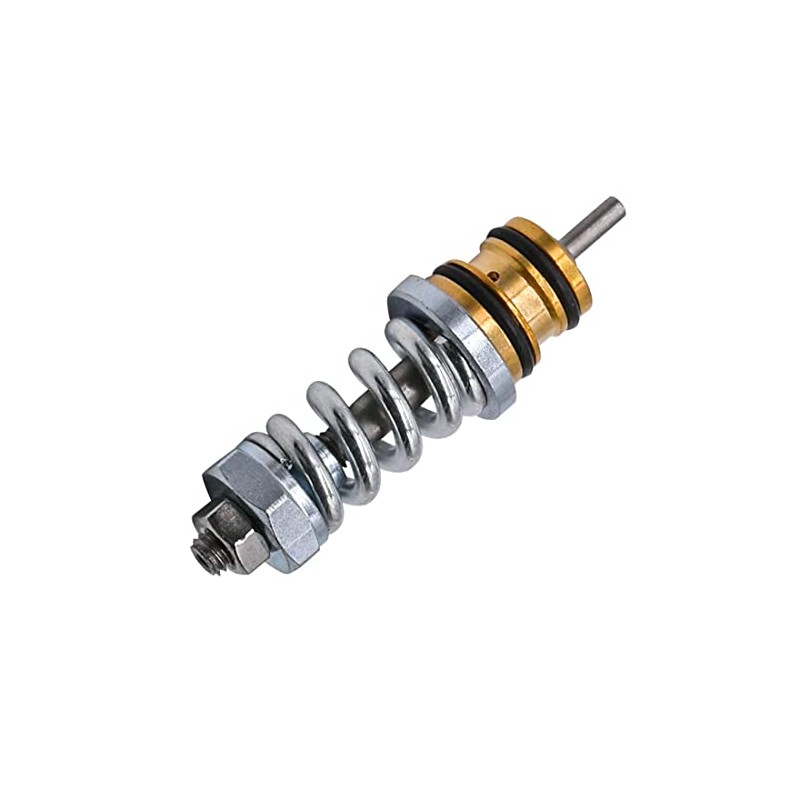 JDLLONG 310924003 Unloader Valve kit for Many Coleman Features for