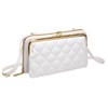Brightrust Women's Smartphone Pouch Shoulder Zipper Purse Bag Crossbody Shoulder