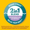 Nature Made Wellblends Calm & Relax, Ashwagandha 125mg, Magnesium 300