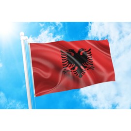 DMSE Albania Albanian Flamuri Kombëtar Red Black Double Headed Eagle Flag 2X3 Ft Foot 100% Polyester 100D Flag UV Resistant (2' X 3' Ft Foot)