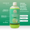 Shampoo 2 En 1 Aloe Vera & Vitamina E Productos