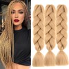 Braids Extensions, Kanekalon Hair Jumbo Braid Extension, 24 Inches, Ombre