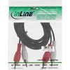 InLine 20 m 2 x RCA M/M 20 M 2