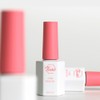 Piote Fiote Core Base 10ml Base Gel / 피오떼 코어베이스