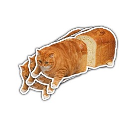 3Pcs Cat Bread Loaf Funny Sticker, Cute Bread Cat Bumper Sticker Decal, Cute Cat Vinyl Sticker, Meow Bread Sticker Vinyl, Cat Lover Sticker - Sticker for Laptop Water Bottle Car Phone Helmet 3"