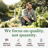 Vitalitown Moringa Capsules, Pure Moringa Oleifera Leaves, No Sticks, No