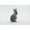 Unbranded Model Rabbit, Hare, Bunny Toy, Figure, Realistic, Replica, Gift,