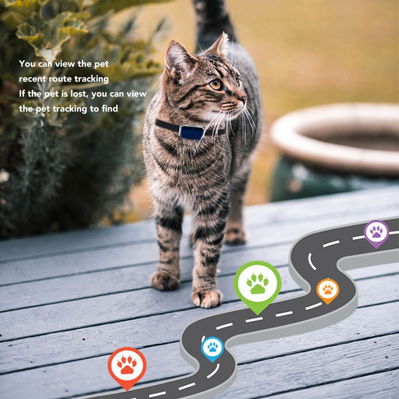 Smart Pet Tracking Collar IP67 Waterproof Prevent Lost High Sensitivity