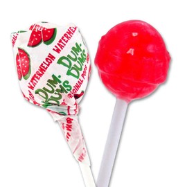 Dum Dums Watermelon Lollipops - Bulk Candy Bag with Lollipops Individually Wrapped, Single Flavor Gourmet Suckers - 50 Count