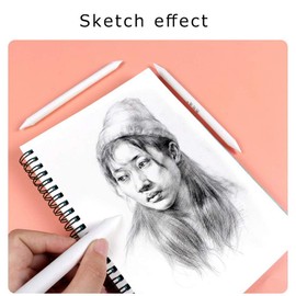 Sandpaper Paper Wiper, Pack of 12 Blending Stumps and Tortillions with 2 Sandpaper Pencil Sharpener for Student Sketch Drawing DIY Teenagers Children Teenagers