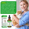 Antibiotics for Cats 2 Fl Oz, Natural Antibiotic for Cat,
