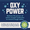 Rocco & Roxie Carpet Cleaner Solution for Pets - Pet