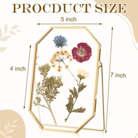 Yalikop 4 Pcs 5 x 7 Inches Glass Pressed Flower Frame Floating Picture Photo Octagon Frame, Double Tabletop Artwork Flower Plant Hanging Display for Home Office Wedding Gifts DIY Decor (Gold)
