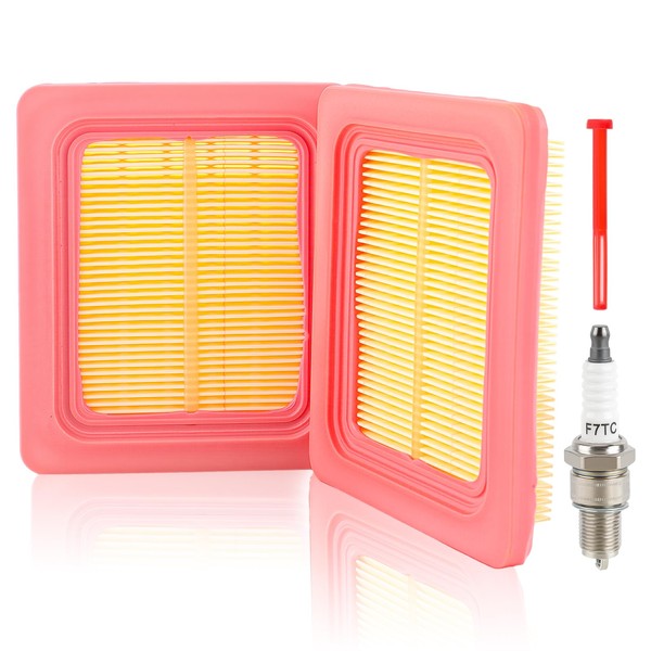 CARBBIA 17211-Z8B-901 Air Filter 16952-Z8B-000 Compatible with Honda HRX217 HRN216