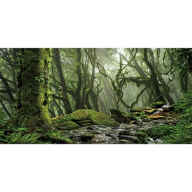 AWERT Foggy Forest Terrarium Background Stream Green Huge Tree Reptile Habitat Background Tropical Rainforest Aquarium Background 36x24 inche36x24in90x60cm