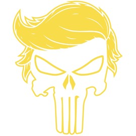 Punisher Hair | Decal Vinyl Sticker | Cars Trucks Vans Walls Laptop | Political enthusiasts Custom The Punsiher