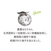 Chatsumi no Sato Organic Yuzu Green Tea (0.1 oz (2.5
