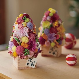 Earth Farms Brand of Preserved 6 Wheel with you, too Chrysanthemum