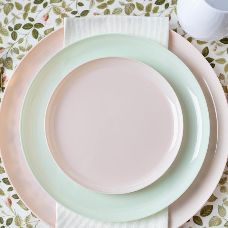 Blue Sky Edge Collection Pink Disposable Plates 6.3" - 10