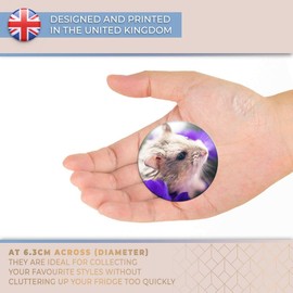 Destination Vinyl ltd Magnet for Refrigerator, Fridge - Gerbil Mice Rat Cute Rodent for Office, Cabinet and Whiteboard, Magnetic Stickers, 15854