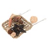 Bird Foraging Wall Toy Safety Parrot Woven Hanging Mat Climbing