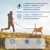SWISSE Ultivit - Multivitaminico Uomo con Vitamina C D e