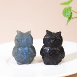 WUYOUSHI Natural Obsidian Owl Crystal Statue Hand Carved Healing Crystal Gem Sculpture Stone Animal Figurines Carved Gem Reiki Energy Meditative Treatment Home Decor