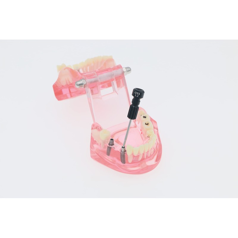 6pcs/Kit Implant Micro Screwdriver Oral Implant System Screwdriver Base Universal