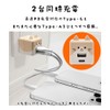Rasta Banana Mobanyer USB Charger, AC Type-C Type-A Power Delivery,