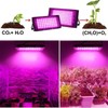 Indoor Plant Growing Lamp Full Spectrum LED Grow Light for