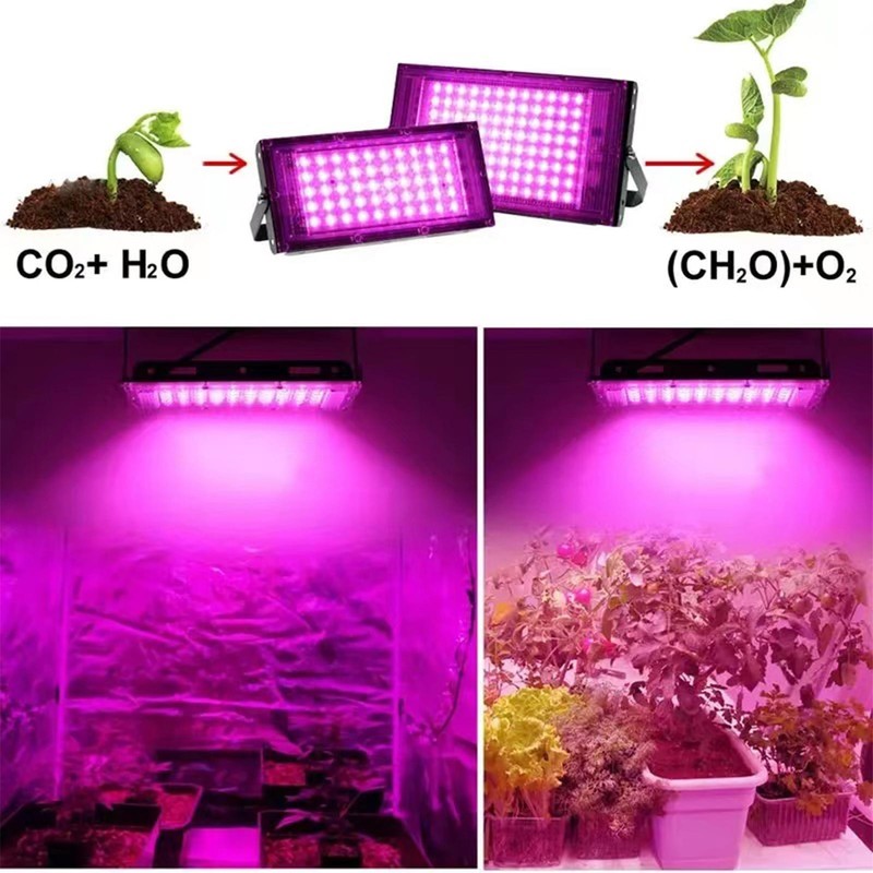 Indoor Plant Growing Lamp Full Spectrum LED Grow Light for