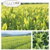 Marche Pure Benifuukicha Powdered Green Tea, 0.04 oz (1 g)