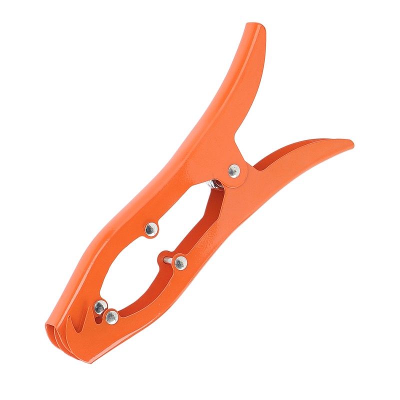 Grip Anchor Stainless Steel Toothed Claw Anchor Clamp Ship Accessory