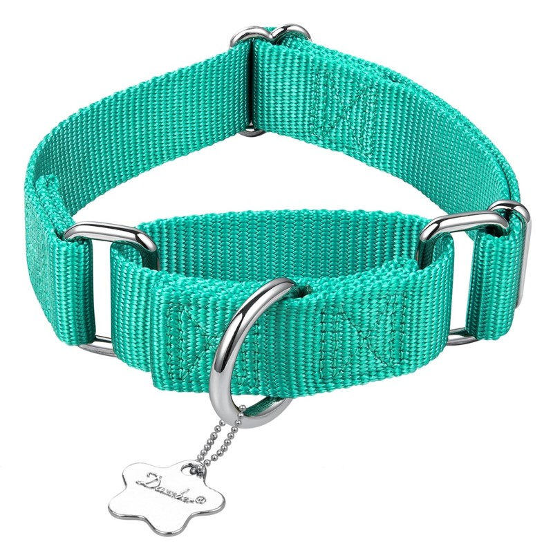 Dazzber Martingale Collars for Dogs Adjustable Durable Dog Collar Solid