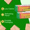 Choward's Guava Tropical Candy | Unique Fruit Flavors of Mint