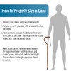 DMI Walking Cane and Walking Stick for Adult Men and
