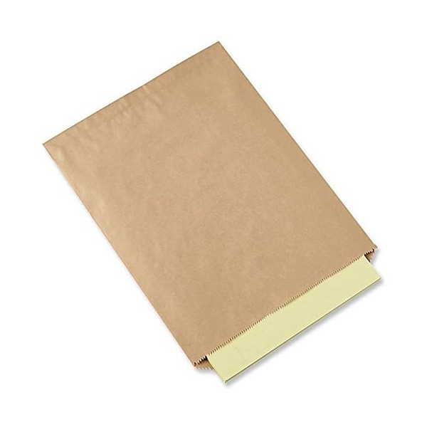 A1BakerySupplies® Kraft Paper Bags Flat Merchandise Bags 100 Pack 8.5 in X 11 in -Plain Bags