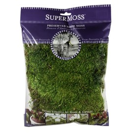 SuperMoss (21542) Mood Moss Preserved, Fresh Green, 4oz
